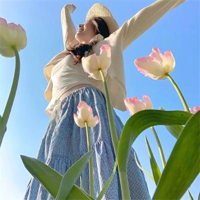 蟋蟀 海报