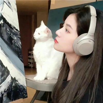 咪逐我出境！ 海报